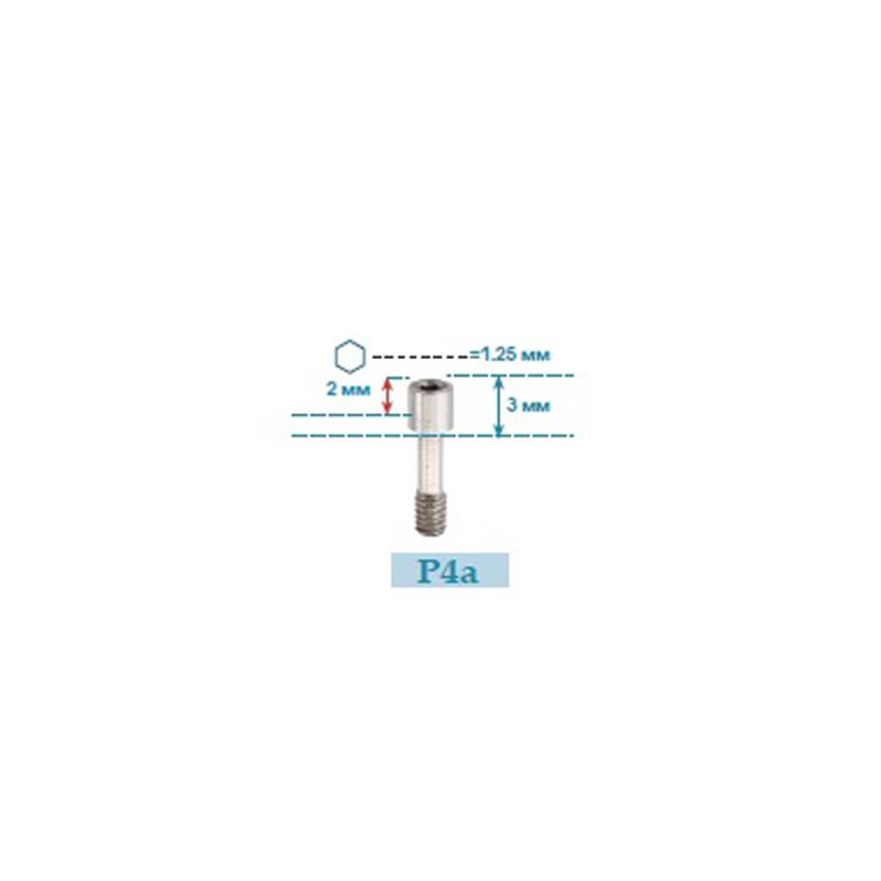 Изображение Винт для абатмента / Screw for Abutment P3a-3 1 из 1