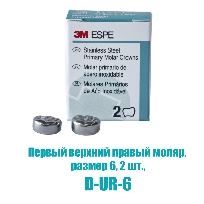 Изображение Коронки из нержавеющей стали Stainless Steel Crowns: первый верхний правый моляр, размер 6, 2 шт 1 из 1