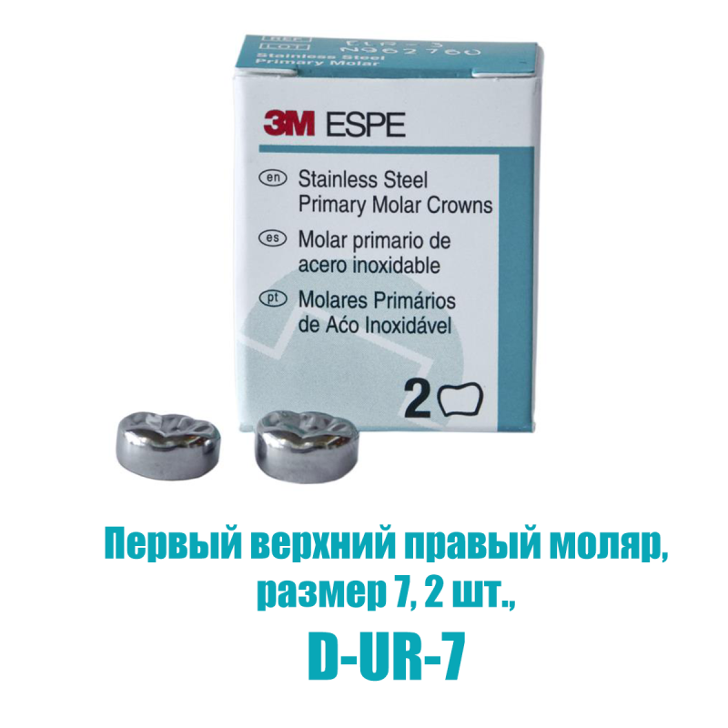 Изображение Коронки из нержавеющей стали Stainless Steel Crowns: первый верхний правый моляр, размер 7, 2 шт 1 из 1