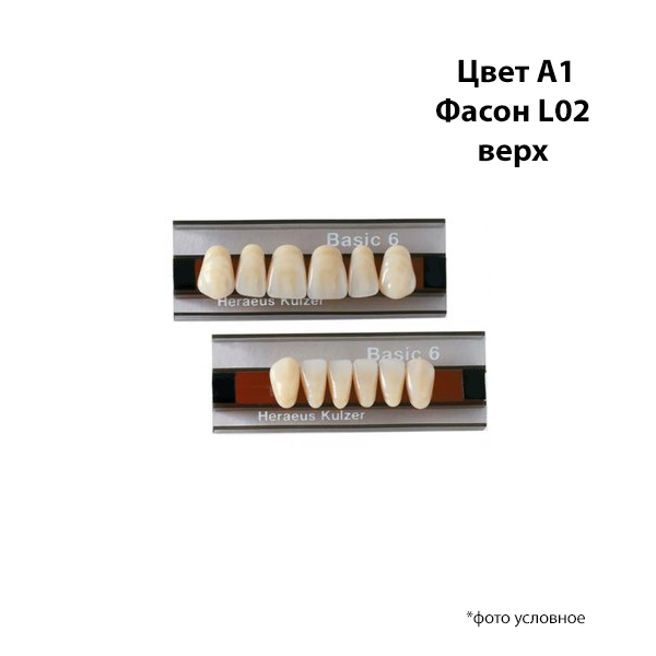 Изображение Зубы Basic 6 цвет А1 фасон L02 верх 1 из 1