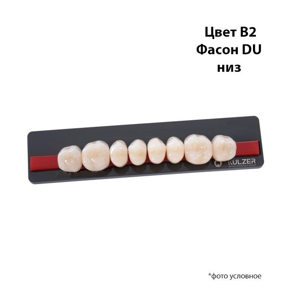 Изображение Зубы Basic 8 цвет В2 фасон DU низ 1 из 1