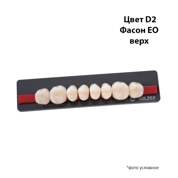 Изображение Зубы Basic 8 цвет Д2 фасон EO верх 1 из 1