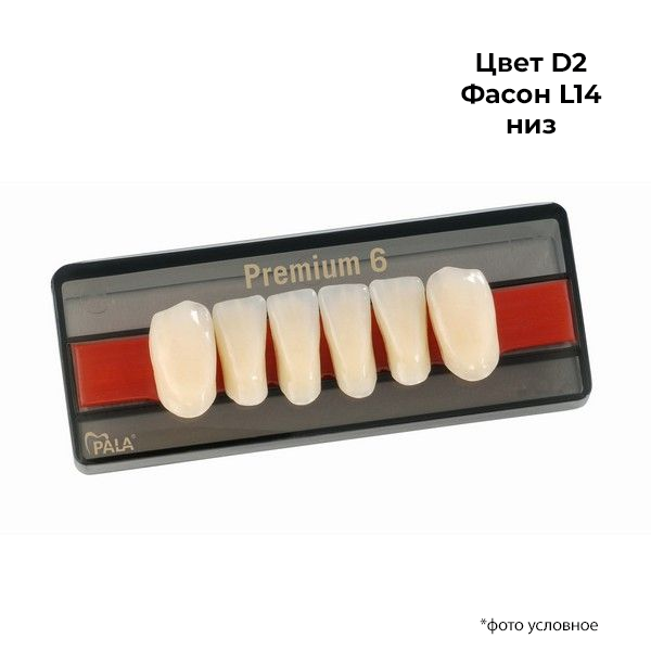 Изображение Зубы Premium 6 цвет D2 фасон L14 низ 1 из 1