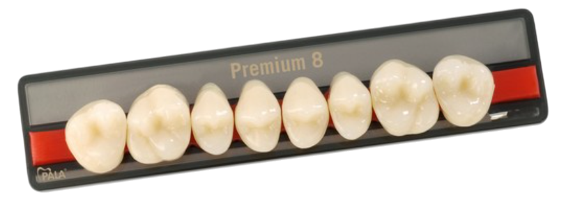 Изображение Зубы Premium 8 цвет C2 фасон L верх 1 из 1