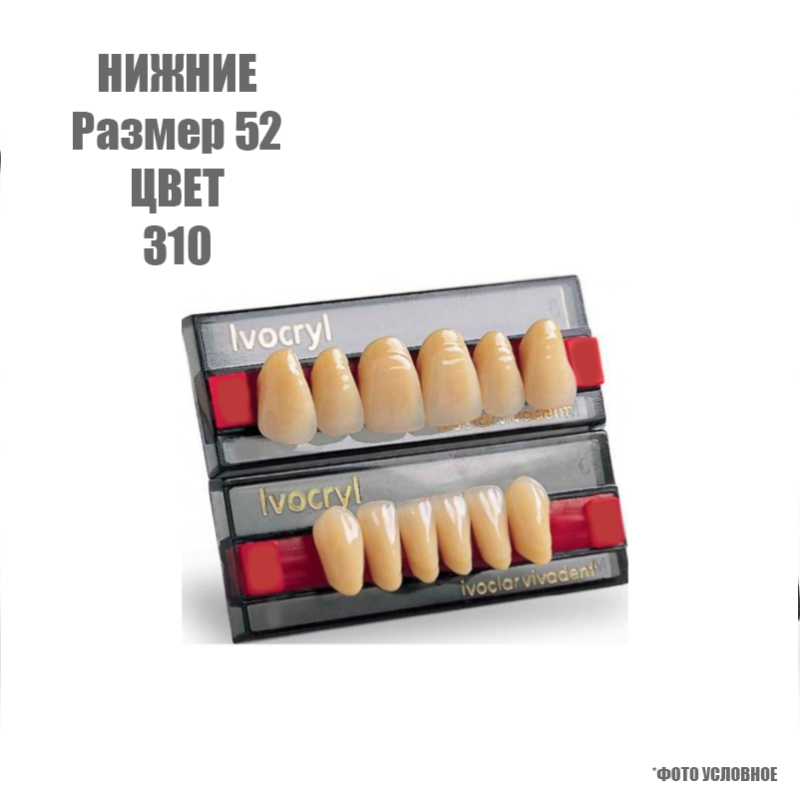 Изображение Зубы искусственные фронтальные нижние Ivoclar Set of 6 L UK52, цвет 310 1 из 1