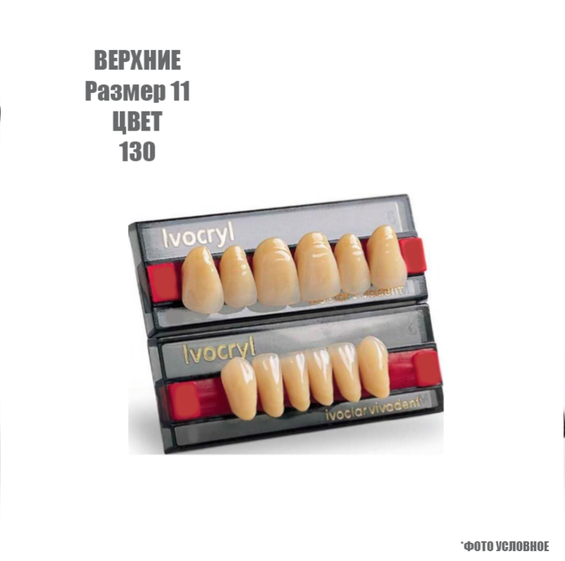 Изображение Зубы искусственные фронтальные верхние Ivoclar Set of 6 U ОK11, цвет 130 1 из 1