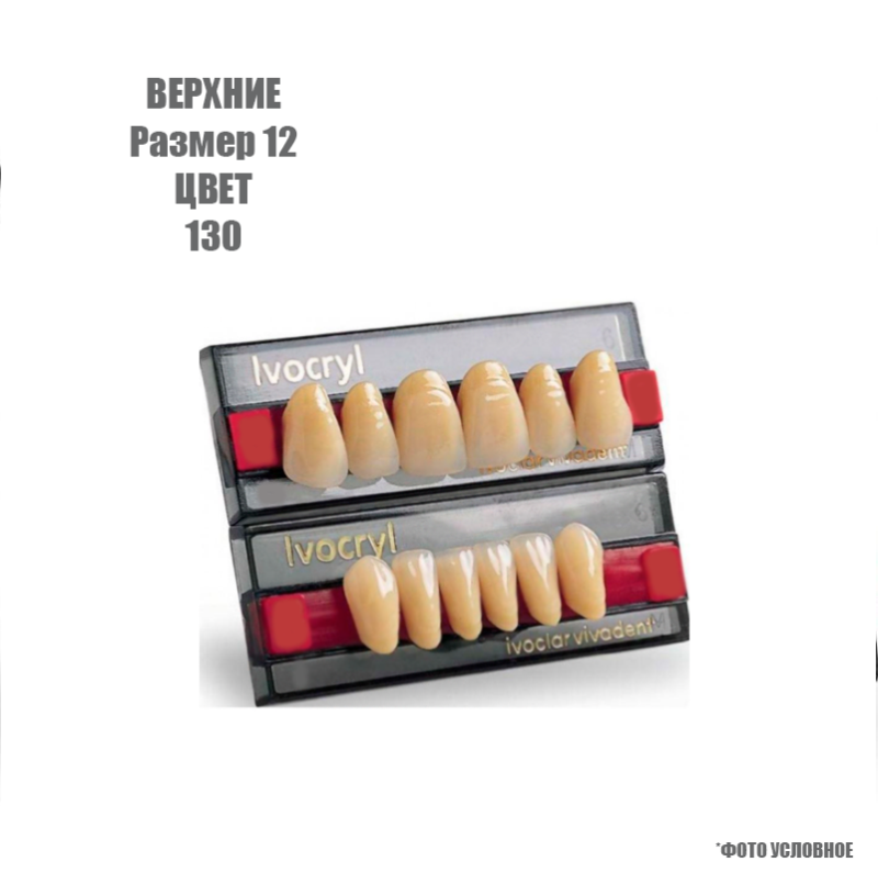 Изображение Зубы искусственные фронтальные верхние Ivoclar Set of 6 U ОK12, цвет 130 1 из 1