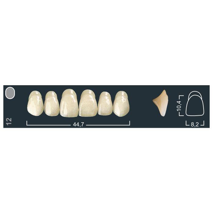 Изображение Зубы искуственные фронтальные верхние Ivocryl Set of 6 U ОK33 210 1 из 1