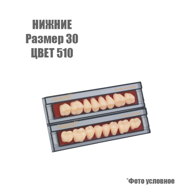 Изображение Зубы искусственные боковые нижние Ivoclar Set of 8 L UK30, цвет 510 1 из 1