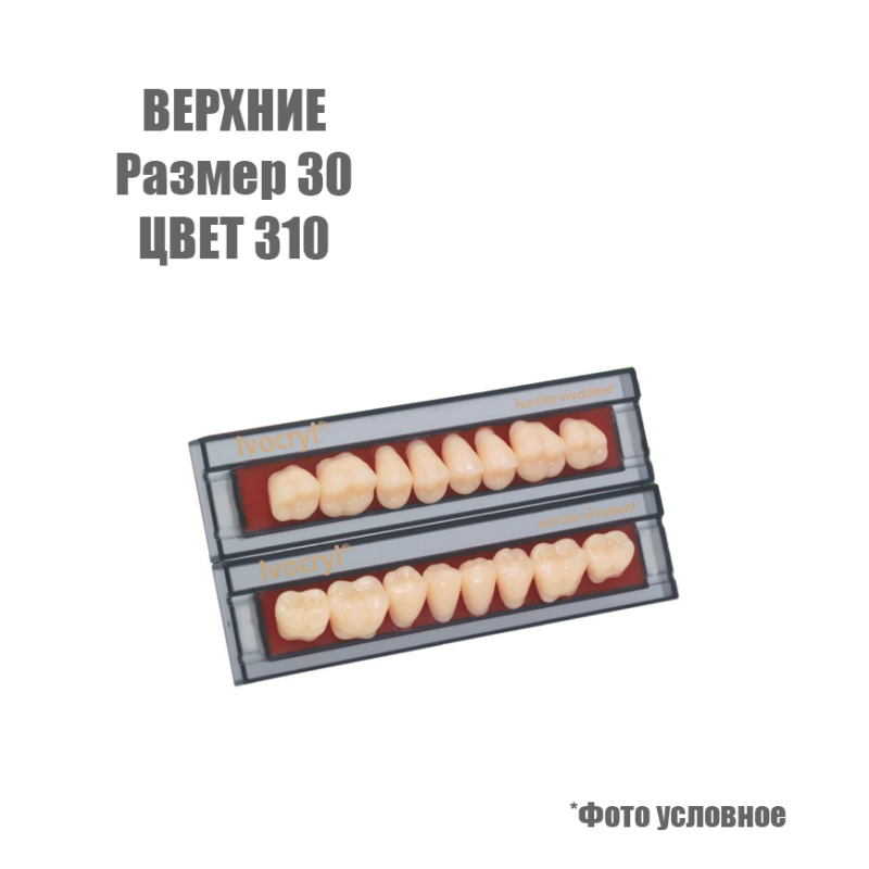 Изображение Зубы искусственные боковые верхние Ivoclar Set of 8 U OK30, цвет 310 1 из 1