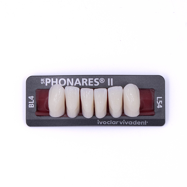 Изображение Зубы фронтальные нижние SR Phonares II Ant. set of 6 L54 BL4 639832 1 из 1