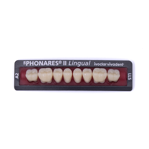 Изображение Зубы боковые нижние SR Phonares II Lingual set of 8 LL5 A2 645325