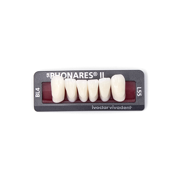 Изображение Зубы фронтальные нижние SR Phonares II Ant. set of 6 L55 BL4 639883