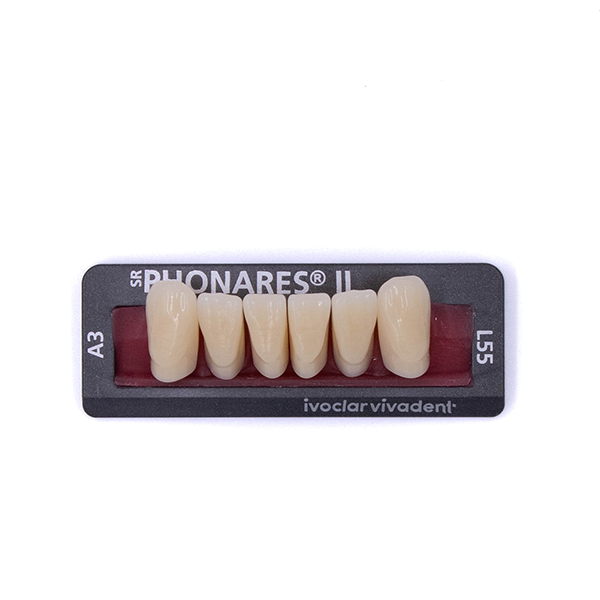 Изображение Зубы фронтальные нижние SR Phonares II Ant. set of 6 L55 A3 639888 1 из 1