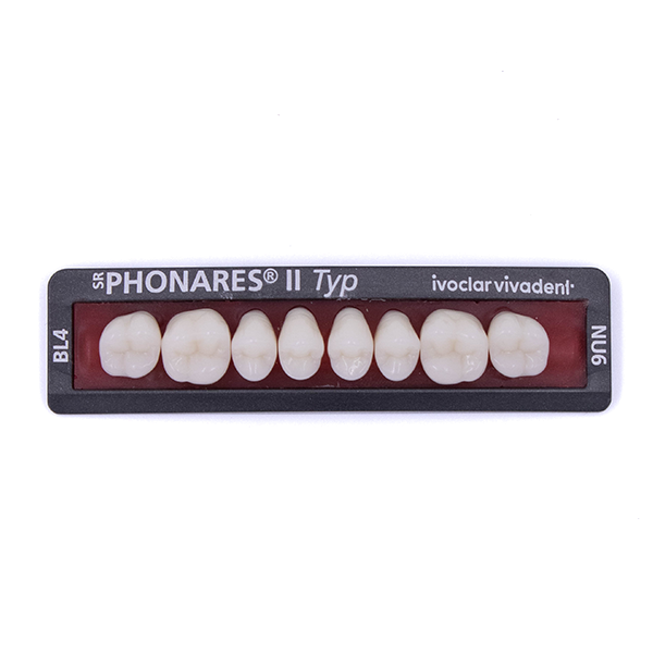 Изображение Зубы боковые верхние SR Phonares II Typ set of 8 NU6 BL4 645403 1 из 1