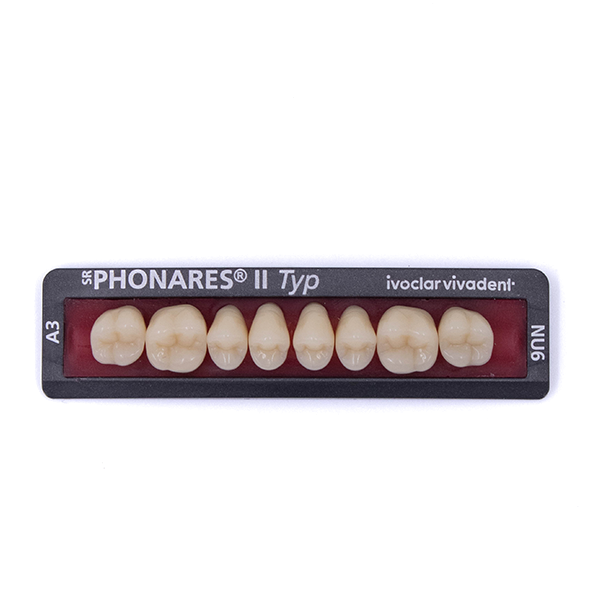 Изображение Зубы боковые верхние SR Phonares II Typ set of 8 NU6 A3 645406 1 из 1