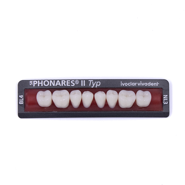 Изображение Зубы боковые нижние SR Phonares II Typ set of 8 NL3 BL4 645423 1 из 1