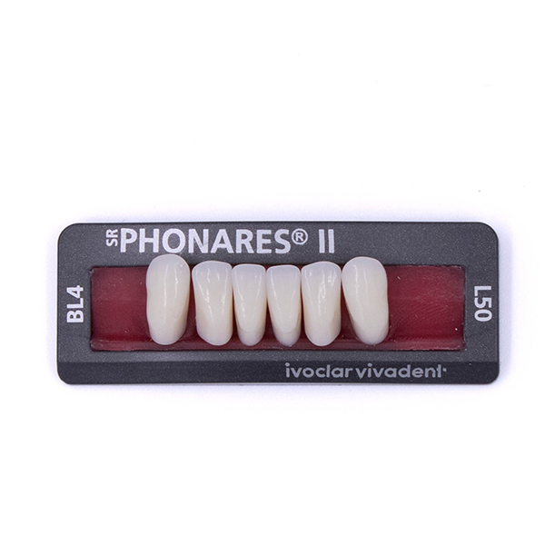 Изображение Зубы фронтальные нижние SR Phonares II Ant. set of 6 L50 BL4 645163 1 из 1