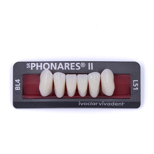 Изображение Зубы фронтальные нижние SR Phonares II Ant. set of 6 L51 BL4 645183 1 из 1