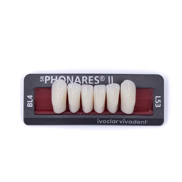 Изображение Зубы фронтальные нижние SR Phonares II Ant. set of 6 L53 BL4 645223 1 из 1