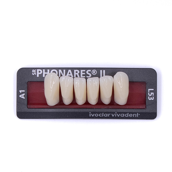 Изображение Зубы фронтальные нижние SR Phonares II Ant. set of 6 L53 A1 645224 1 из 1