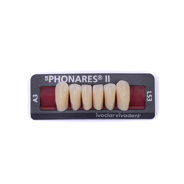 Изображение Зубы фронтальные нижние SR Phonares II Ant. set of 6 L53 A3 645226 1 из 1