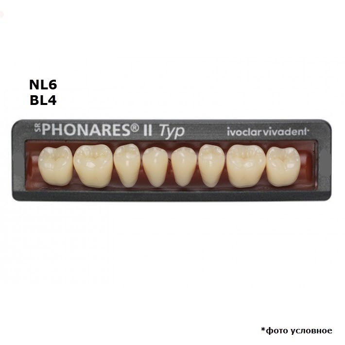 Изображение Зубы боковые нижние SR Phonares II Typ set of 8 NL6 BL4 645463 1 из 1