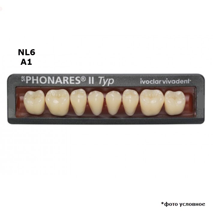 Изображение Зубы боковые нижние SR Phonares II Typ set of 8 NL6 A1 645464 1 из 1