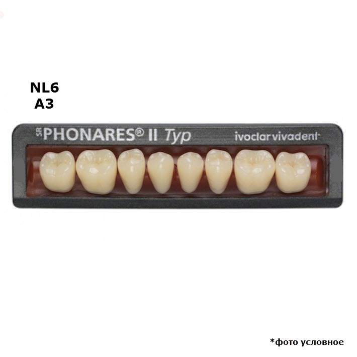 Изображение Зубы боковые нижние SR Phonares II Typ set of 8 NL6 A3 645466 1 из 1