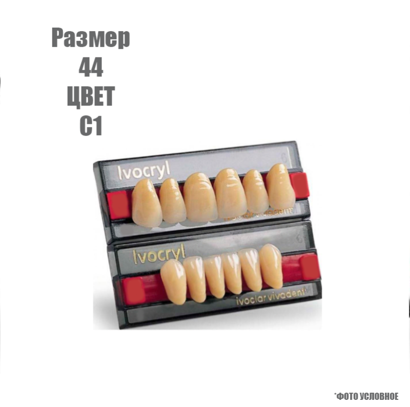 Изображение Зубы искусственные передние Ivoclar Set of 6 размер 44, цвет С1 1 из 1