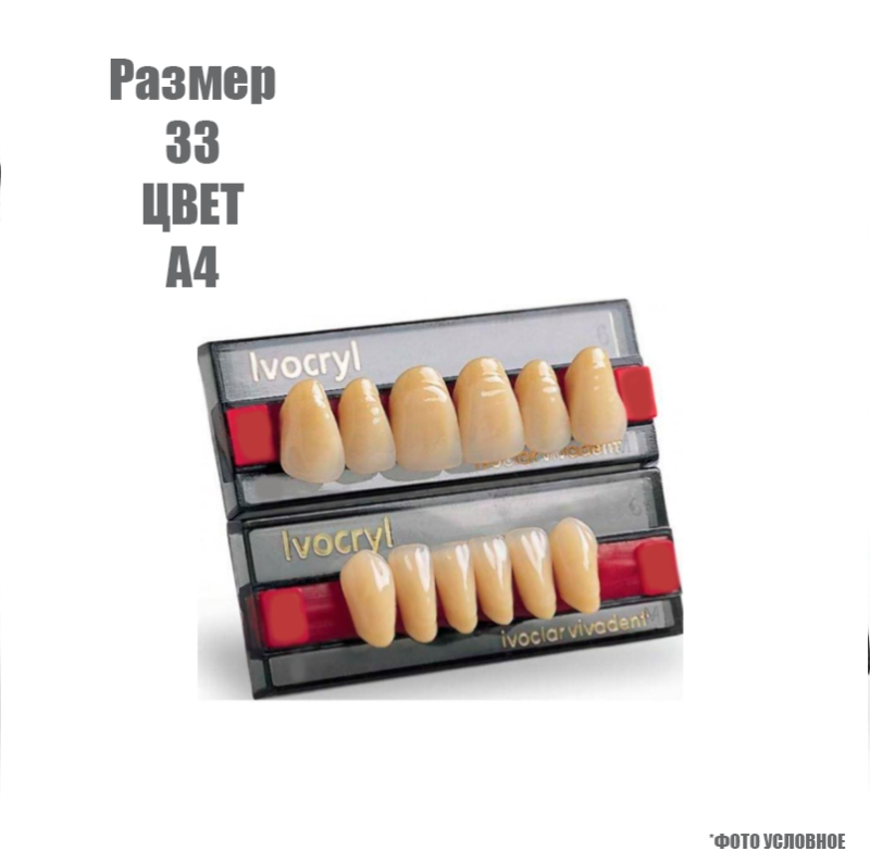 Изображение Зубы искусственные передние Ivoclar Set of 6 размер 33, цвет А4 1 из 1