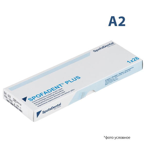 Изображение Зубы Спофадент плюс / Spofadent plus A2 1/48-0/6-1/72 1 из 1
