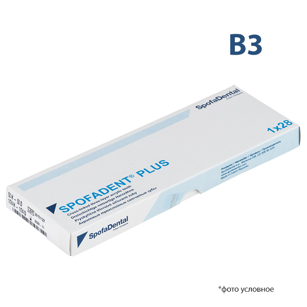 Изображение Зубы Спофадент плюс / Spofadent plus B3 53-53-1/74 1 из 1