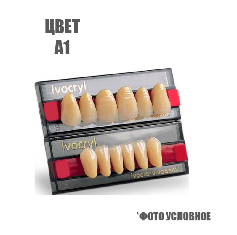 Изображение Зубы искусственные Ivoclar Set of 6, цвет А1, размер 44 1 из 1
