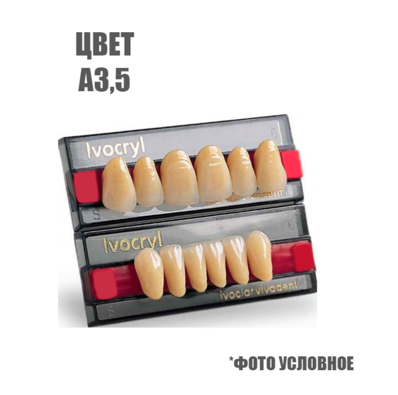Изображение ЗЗубы искусственные Ivoclar Set of 6 цвет А3,5, размер 05 1 из 1