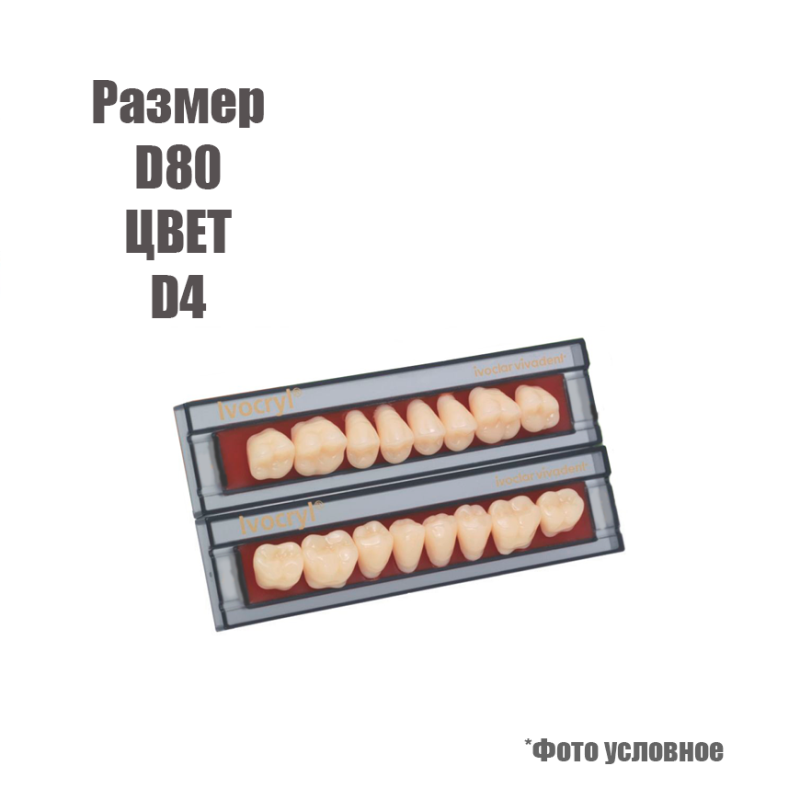 Изображение Зубы искусственные боковые верхние Ivoclar Set of 8 upper размер D80, D4 цвет 1 из 1