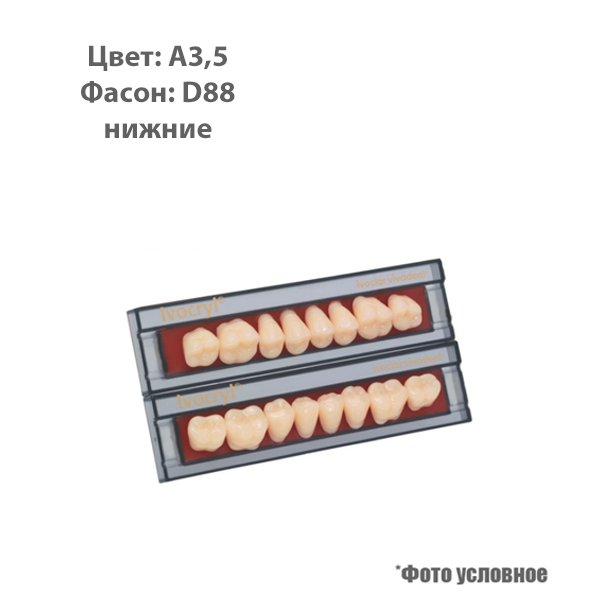 Изображение Зубы искуственные Set of 8 lower А3,5 D88 1 из 1