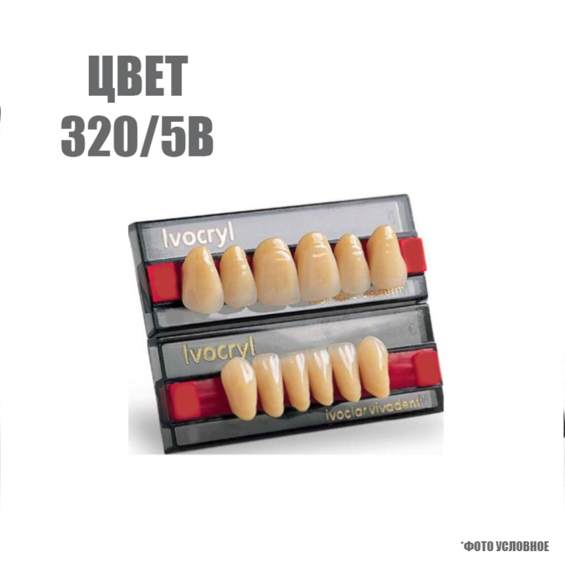 Изображение Зубы искусственные в цвете chromascop передние для в/ч SR Vivodent set of 6 upper, цвет 320/5В, размер А8 1 из 1