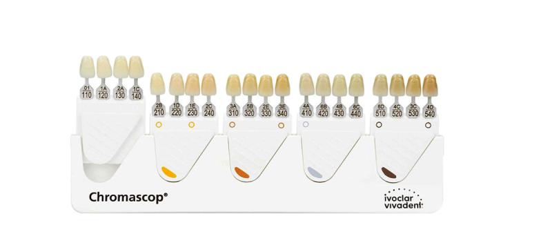 Изображение Зубы искусственные в цвете chromascop передние для в/ч SR Vivodent set of 6 upper 210/2В, размер А36 1 из 1