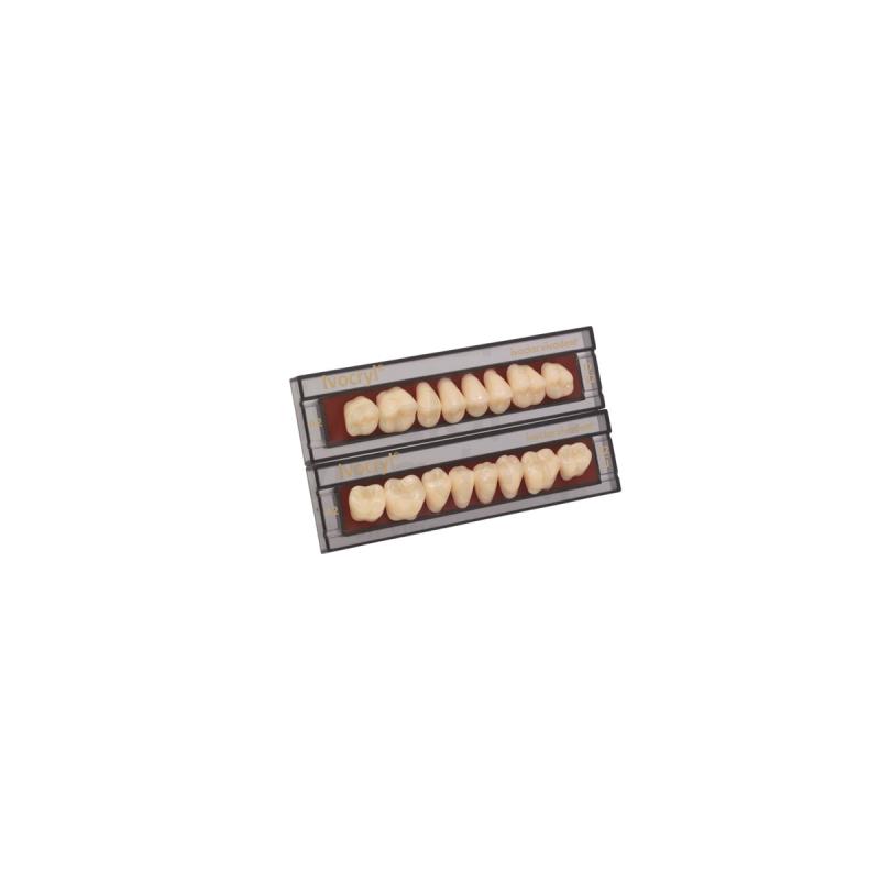 Изображение Зубы искуственные фронтальные верхние Ivocryl Set of 6 U OK31 A1 1 из 1