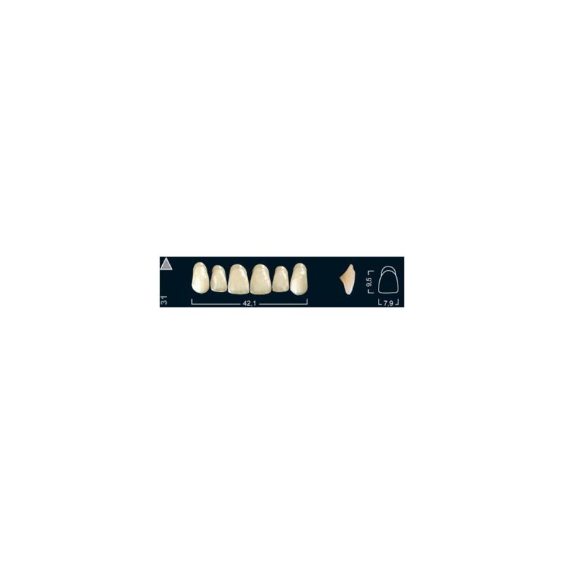 Изображение Зубы искуственные фронтальные верхние Ivocryl Set of 6 U OK31 A2 1 из 1