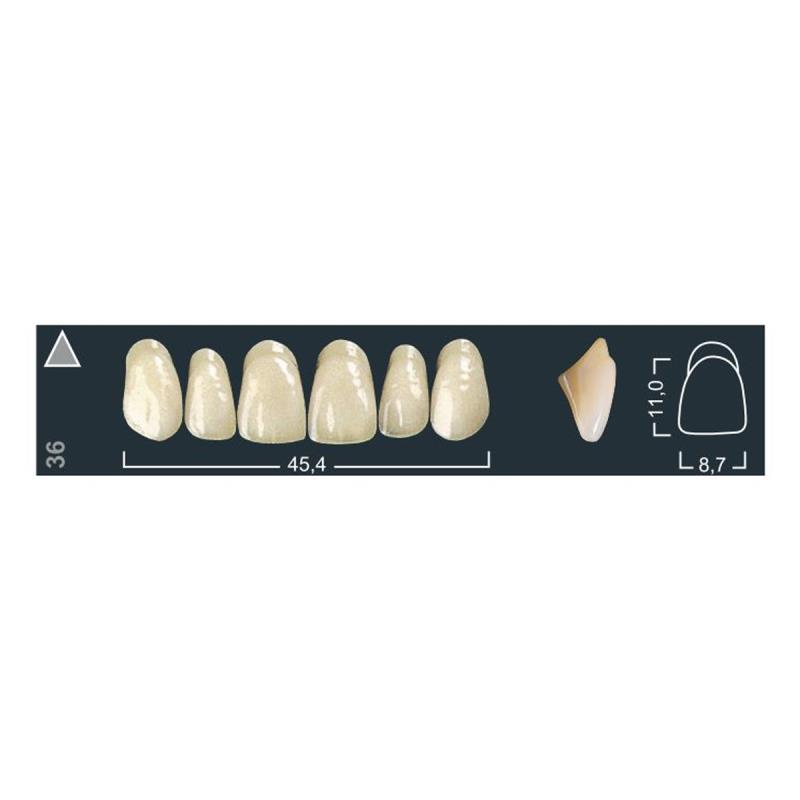 Изображение Зубы искуственные фронтальные верхние Ivocryl Set of 6 U OK33 A2 1 из 1