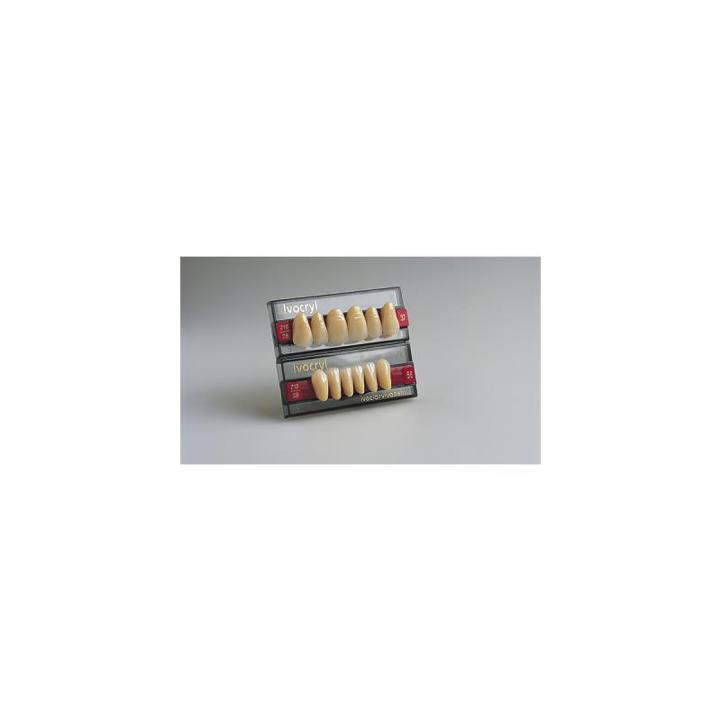 Изображение Зубы искуственные фронтальные верхние Ivocryl Set of 6 U OK23 A3 1 из 1