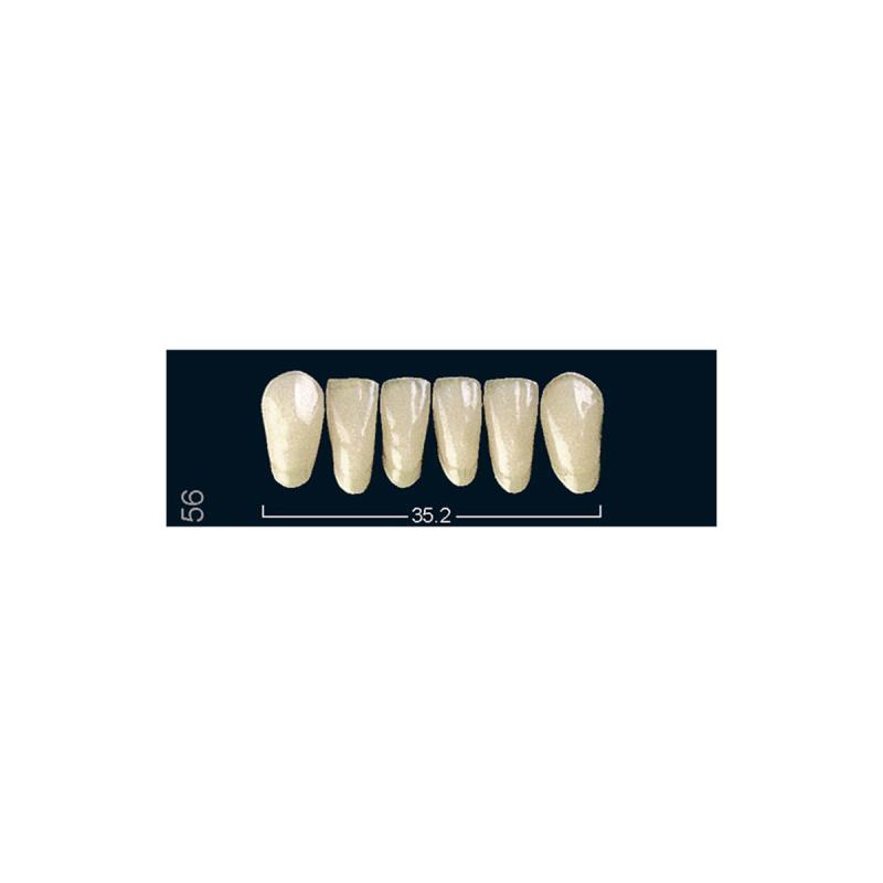 Изображение Зубы искуственные фронтальные верхние Ivocryl Set of 6 U OK12 A3 1 из 1