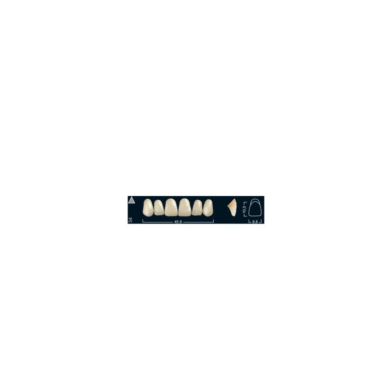 Изображение Зубы искуственные фронтальные верхние Ivocryl Set of 6 U OK34 A2 1 из 1