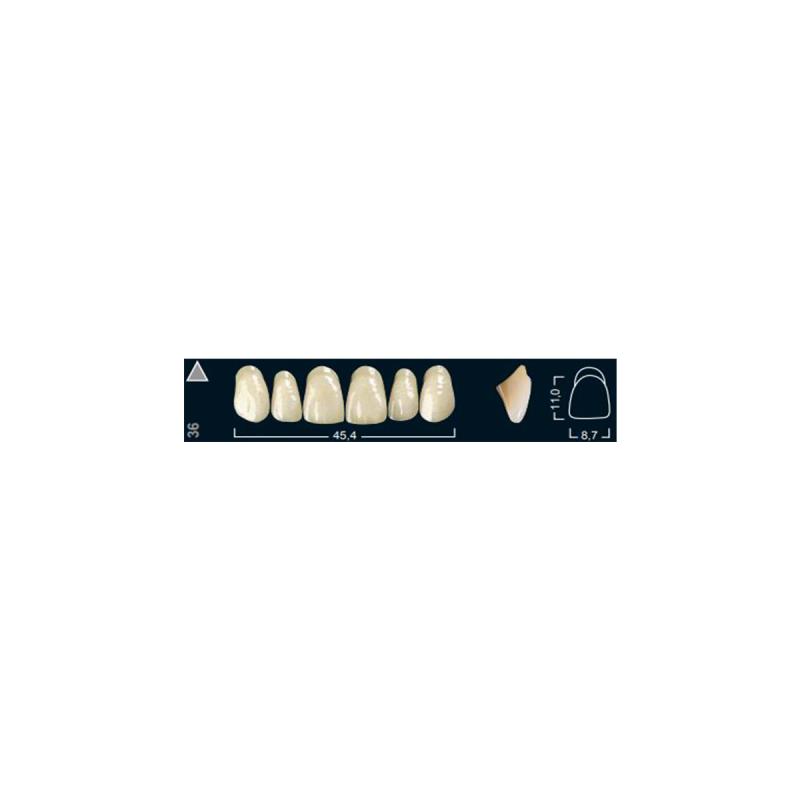 Изображение Зубы искуственные фронтальные верхние Ivocryl Set of 6 U OK36 A2 1 из 1