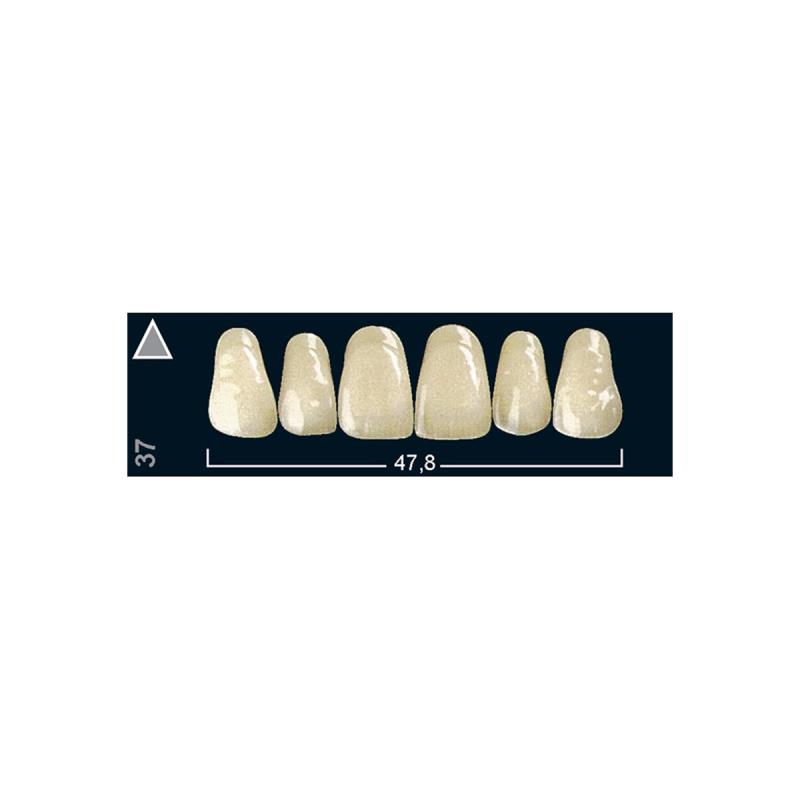 Изображение Зубы искуственные фронтальные верхние Ivocryl Set of 6 U OK37 A2 1 из 1