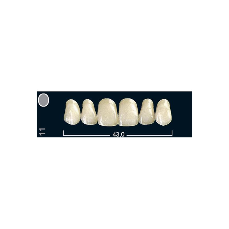 Изображение Зубы искуственные фронтальные верхние Ivocryl Set of 6 U OK11 A2 1 из 1