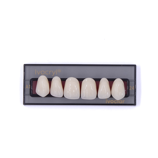 Изображение Зубы искуственные фронтальные верхние Ivocryl Set of 6 U OK24 A1 1 из 1