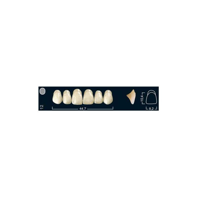 Изображение Зубы искуственные фронтальные верхние Ivocryl Set of 6 U OK12 A1 1 из 1